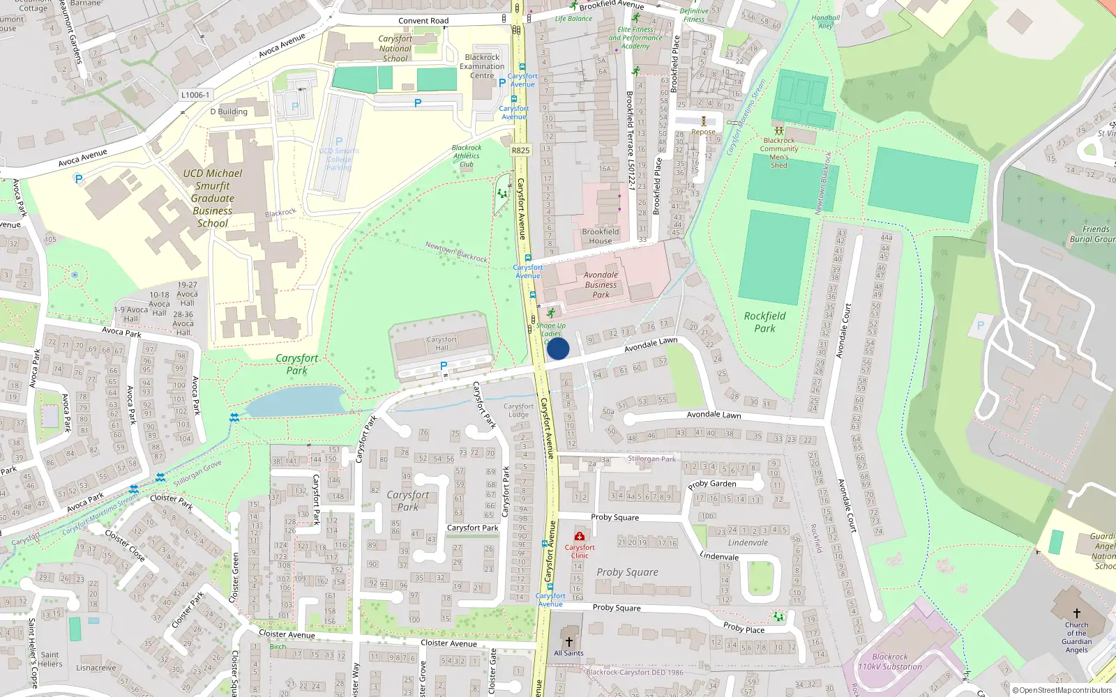 Overhead map showing the location of 4A Avondale Lawn, Carysfort Avenue, Blackrock