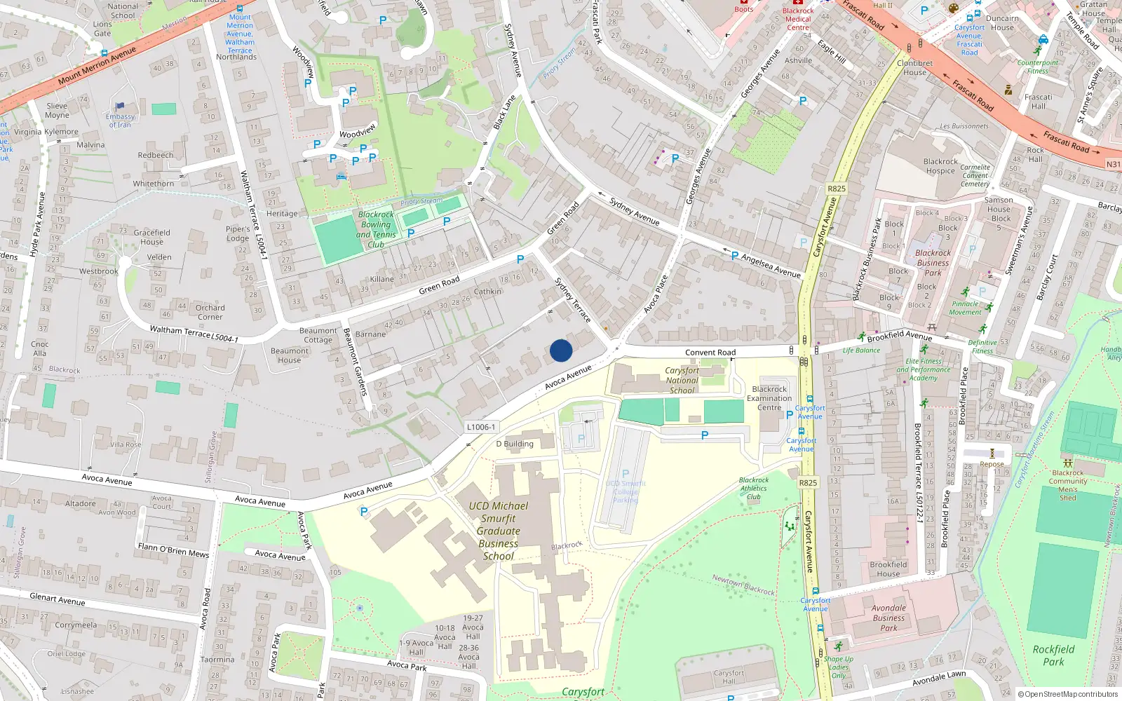 Overhead map showing the location of 5 Avoca Avenue, Blackrock