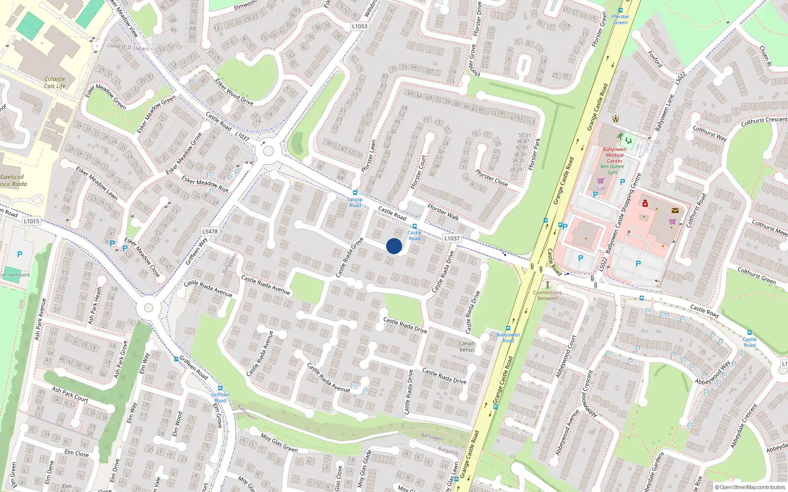 Overhead map showing the location of 5 Castle Riada Grove, Lucan