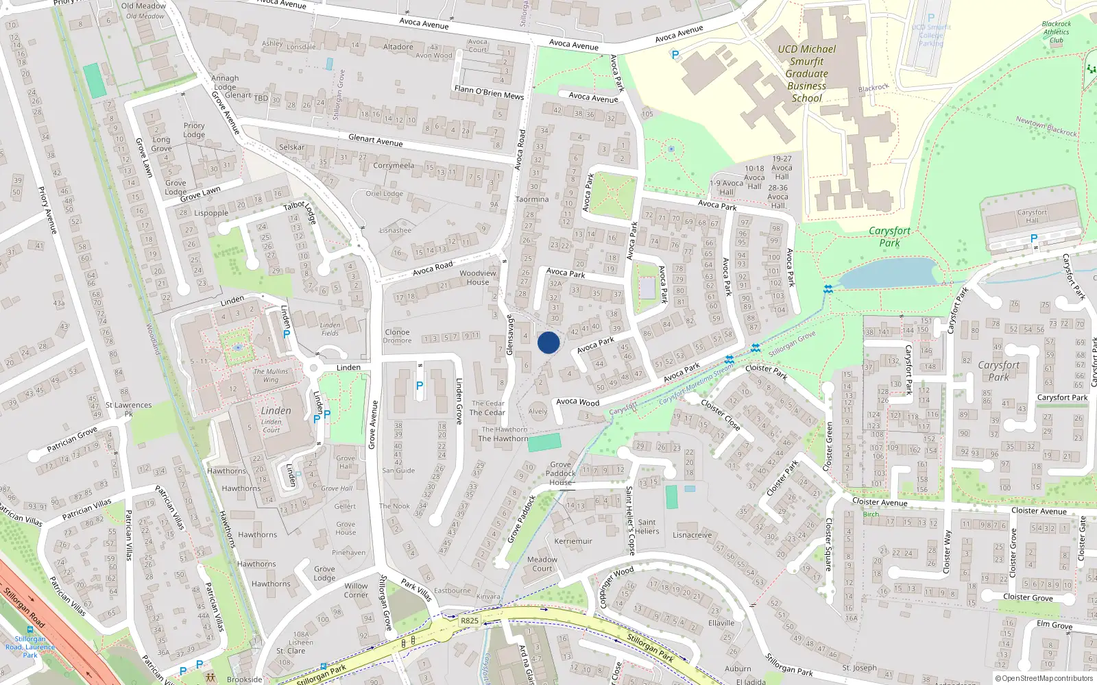 Overhead map showing the location of 5 Glensavage, Avoca Road, Blackrock
