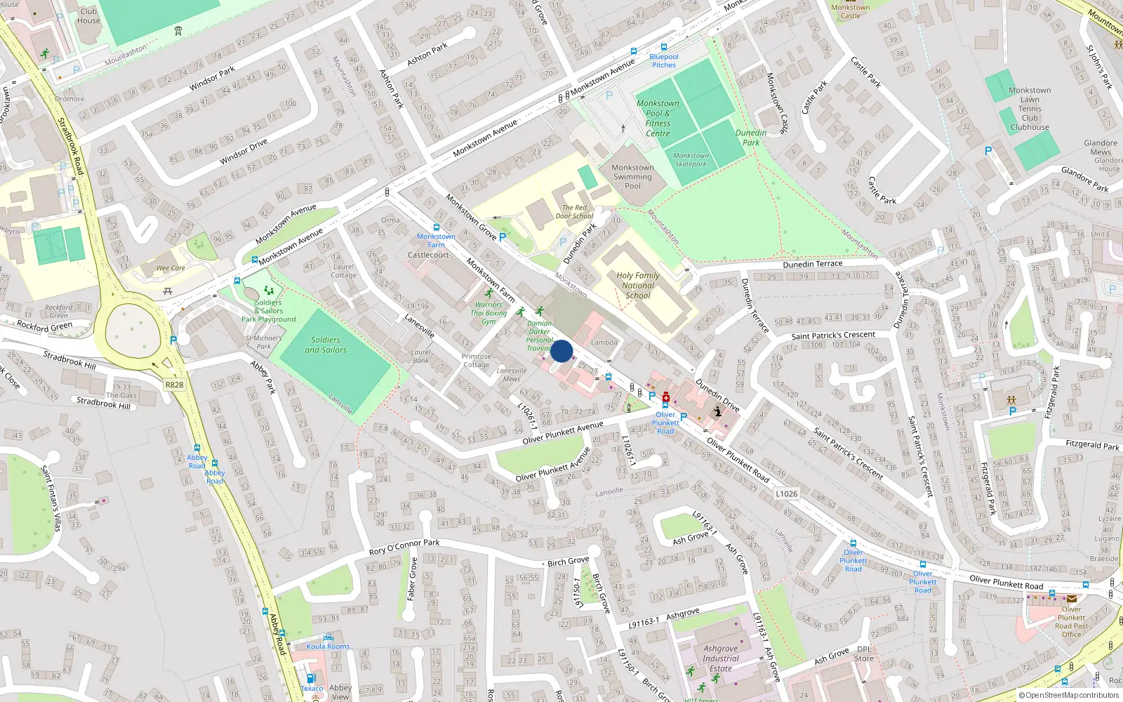 Overhead map showing the location of 5 Monkstown Court, Monkstown