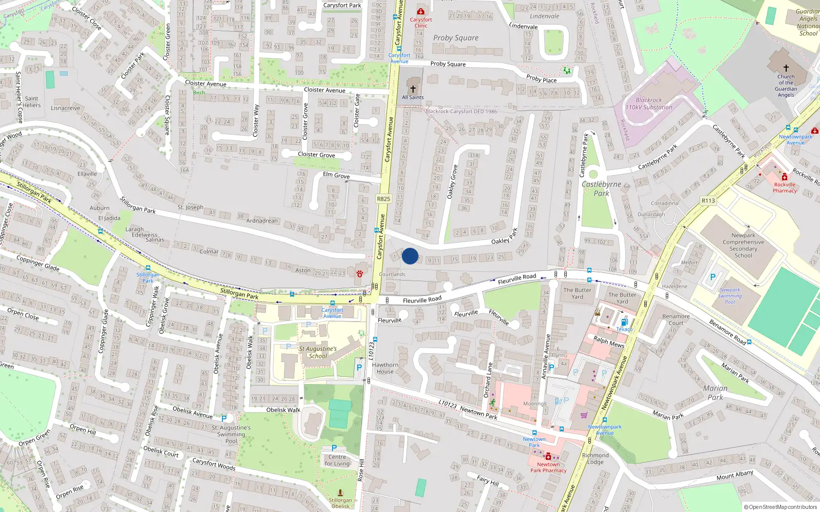 Overhead map showing the location of 5 Oakley Park, Blackrock