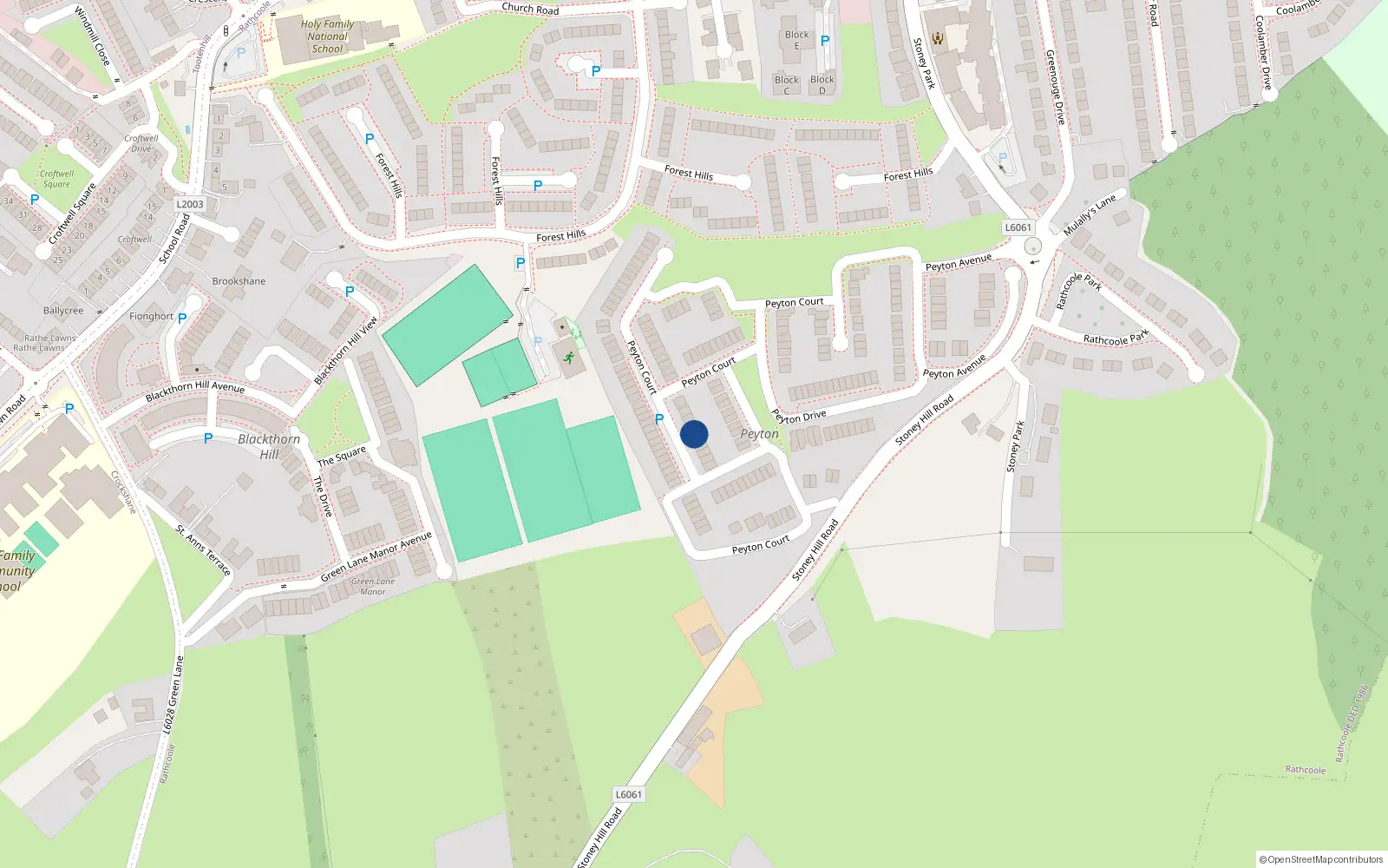 Overhead map showing the location of 5 Peyton Close, Rathcoole