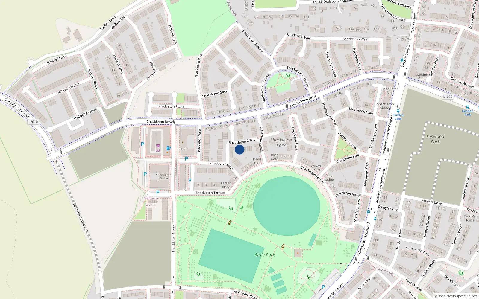 Overhead map showing the location of 5 Shackelton Cross, Shackelton Park, Lucan