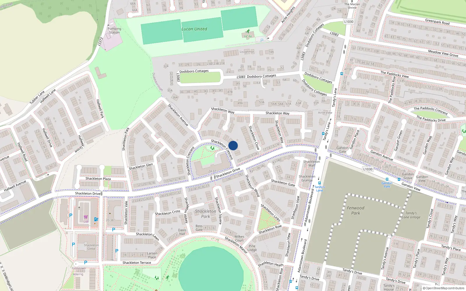 Overhead map showing the location of 5 Shackleton Crescent, Lucan