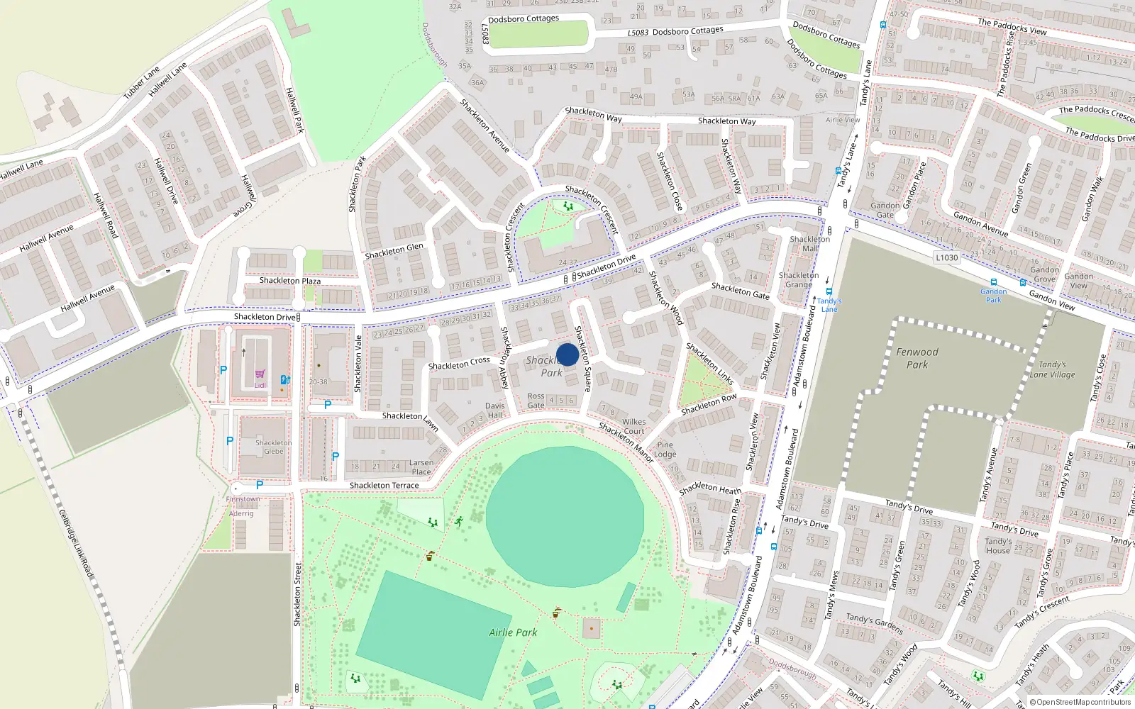 Overhead map showing the location of 5 Shackleton Square, Lucan