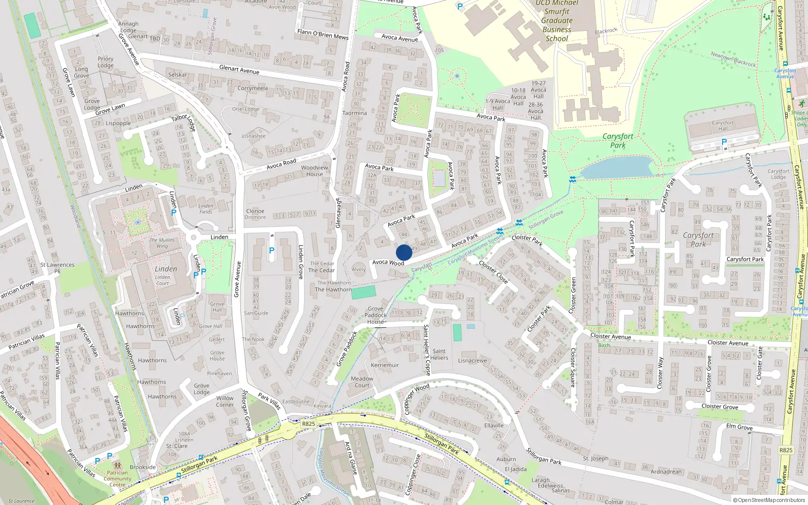 Overhead map showing the location of 50 Avoca Park, Blackrock, Dublin