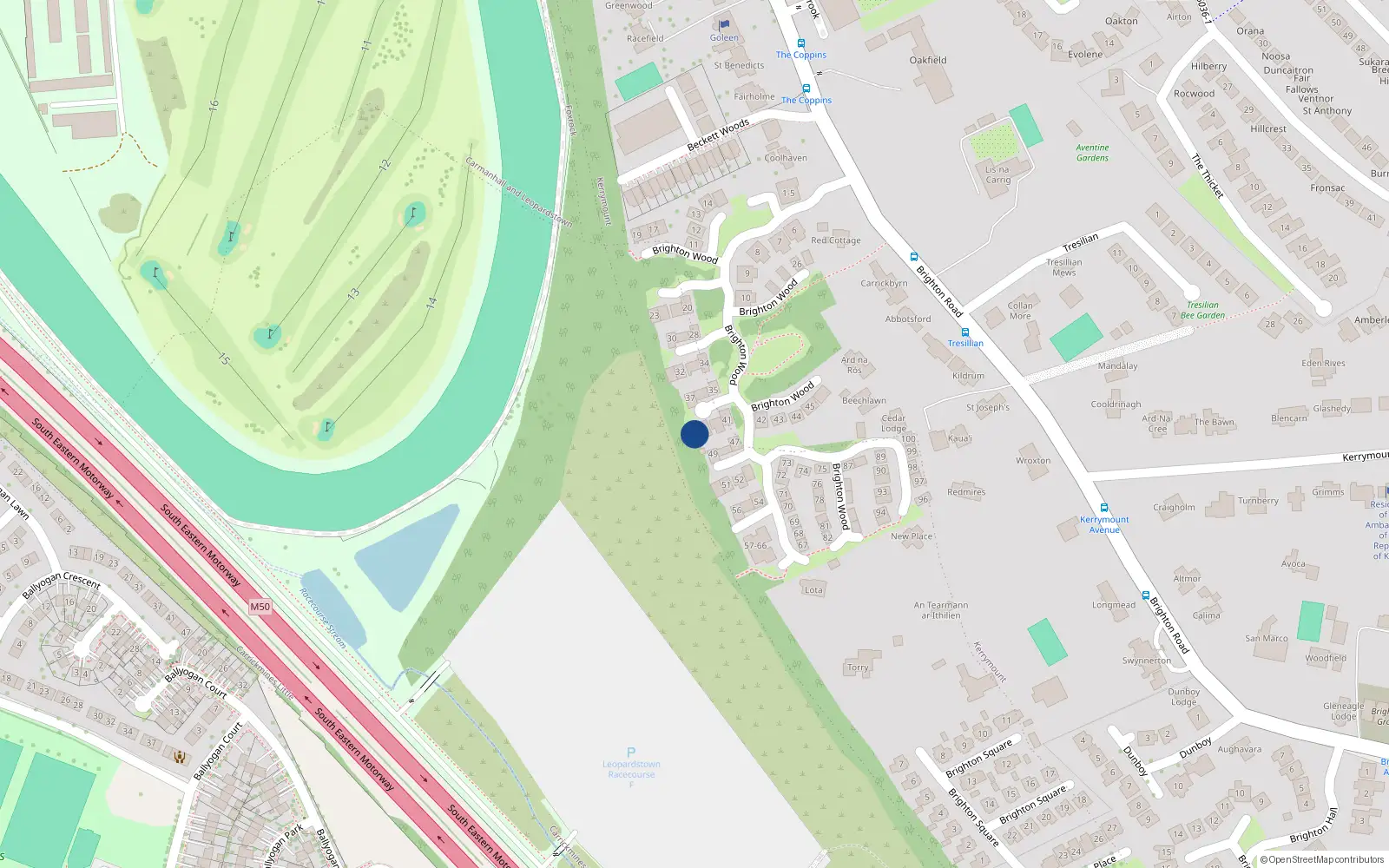 Overhead map showing the location of 50 Brighton Wood, Foxrock