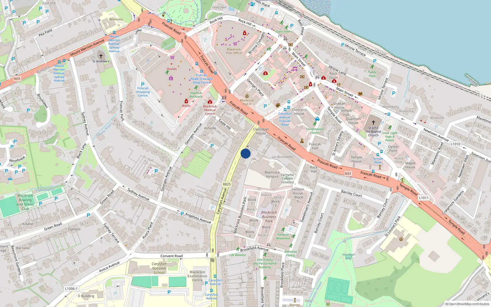 Overhead map showing the location of 50 Carysfort Avenue, Blackrock