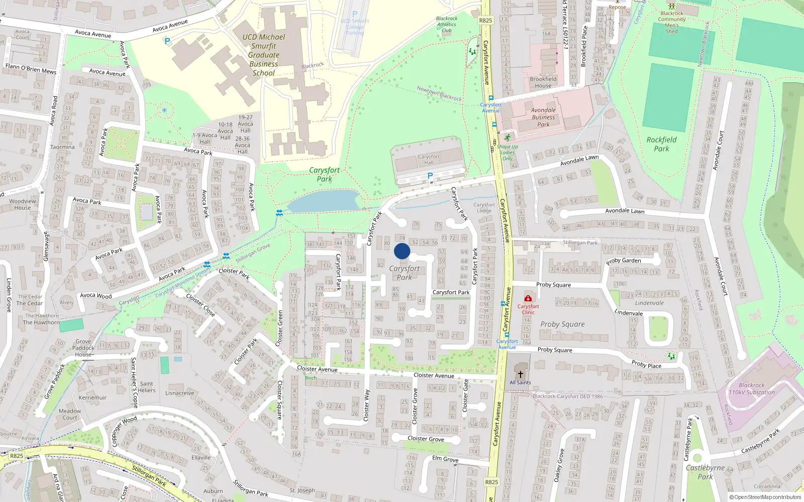 Overhead map showing the location of 50 Carysfort Park, Blackrock, Dublin