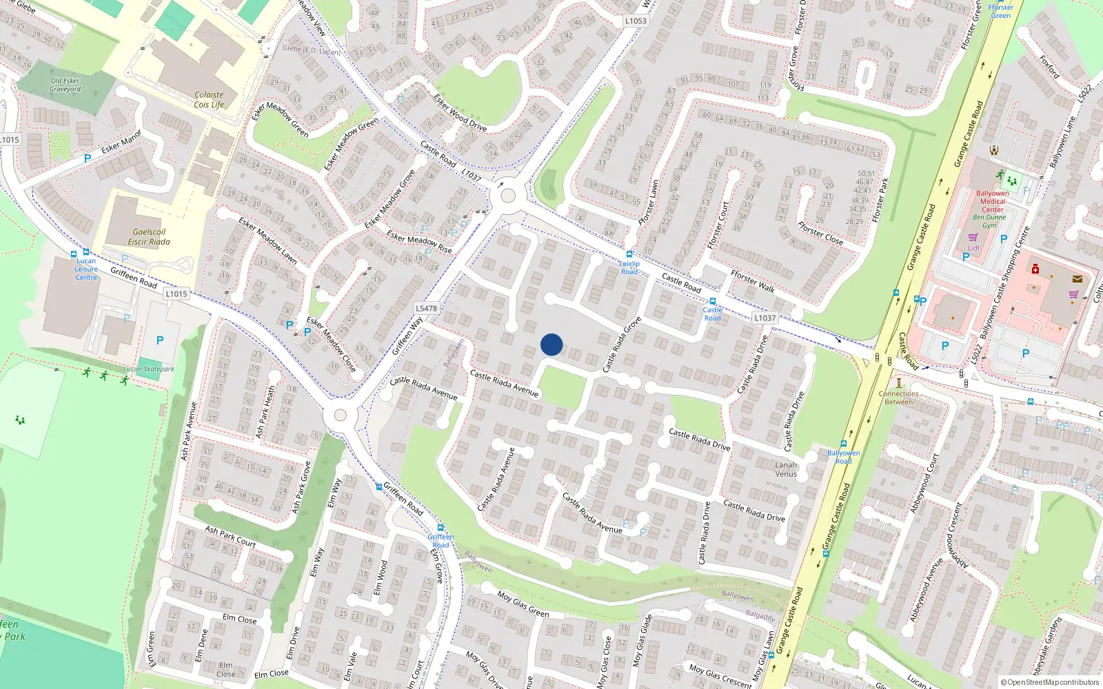 Overhead map showing the location of 50 Castle Riada Grove, Lucan