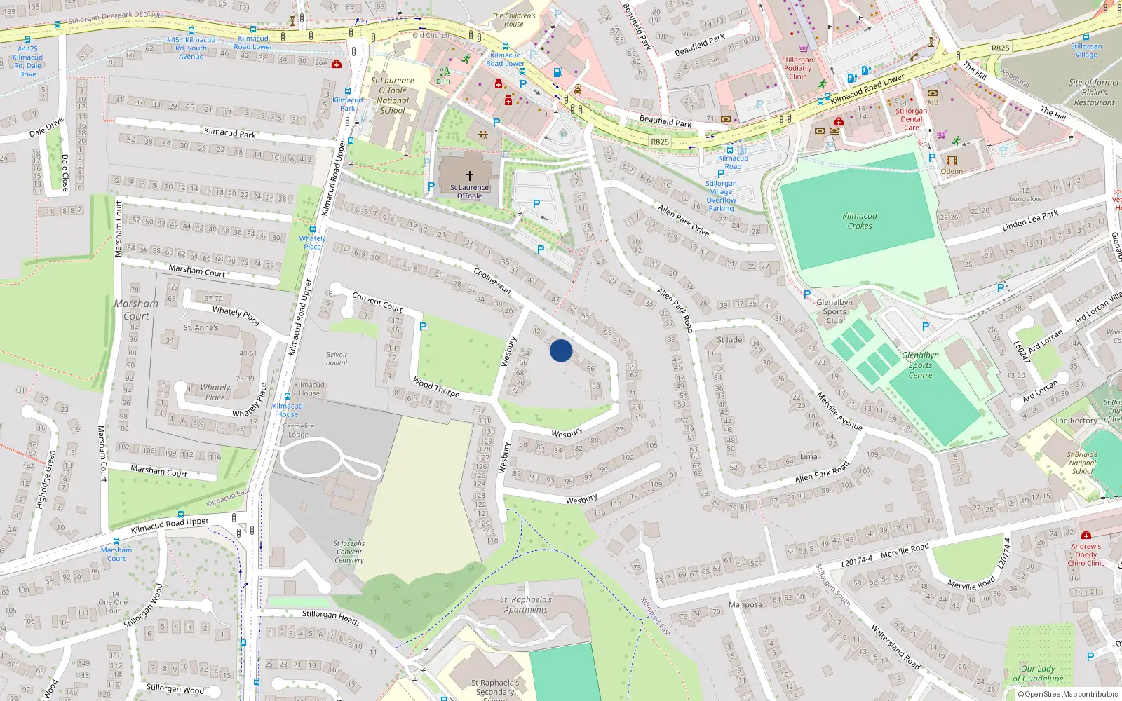 Overhead map showing the location of 50 Coolnevaun, Blackrock