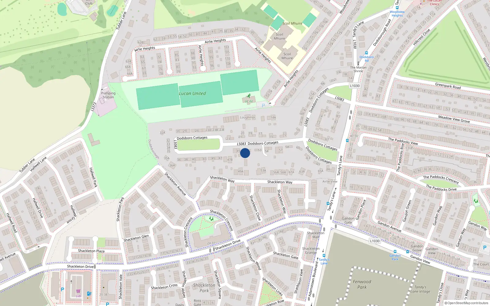Overhead map showing the location of 50 Dodsborough Cottages, Lucan