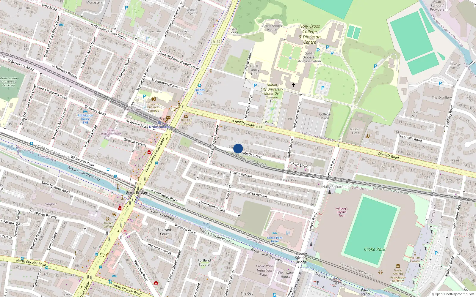 Overhead map showing the location of 50 Elizabeth Street, Dublin 3
