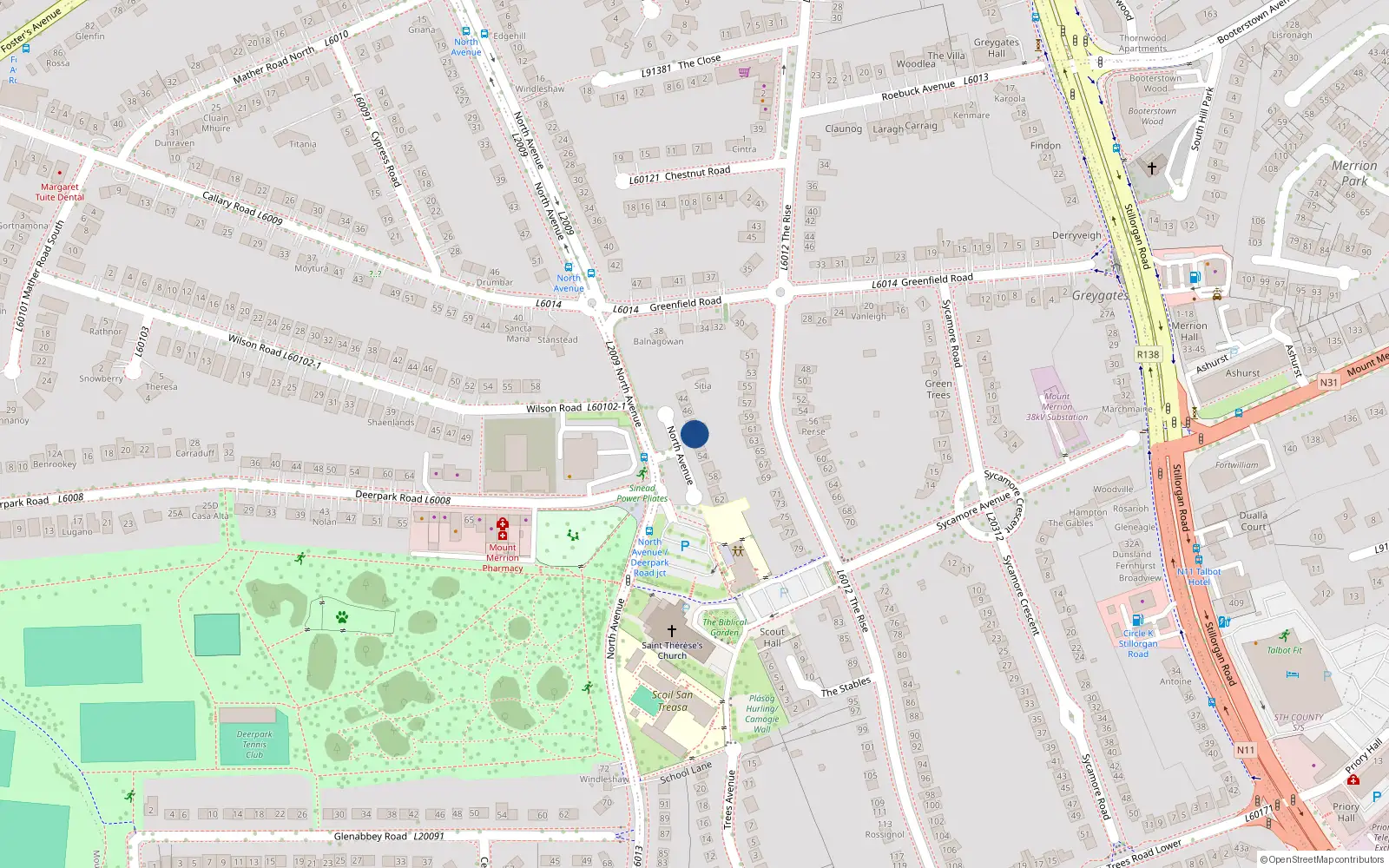 Overhead map showing the location of 50 North Avenue, Blackrock