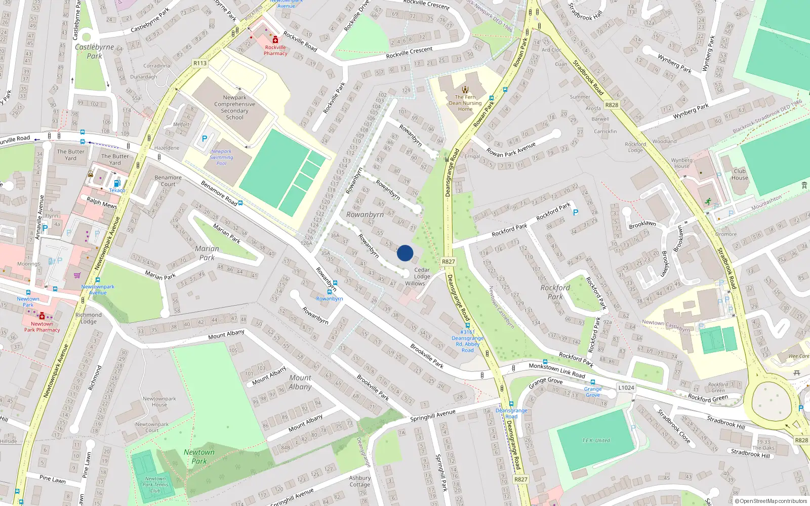 Overhead map showing the location of 50 Rowanbyrn, Blackrock