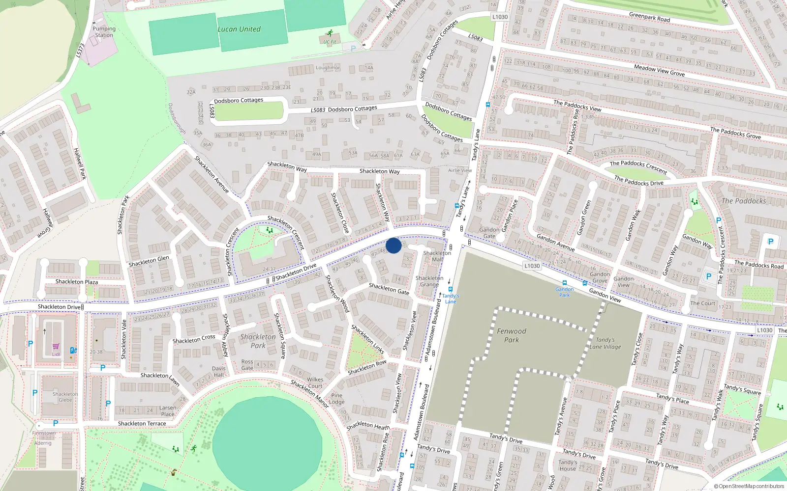 Overhead map showing the location of 50 Shackleton Drive, Lucan