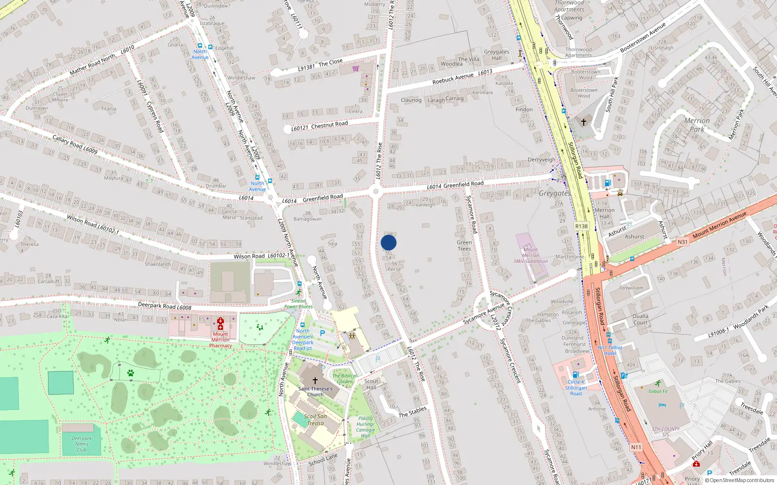 Overhead map showing the location of 50 The Rise, Blackrock
