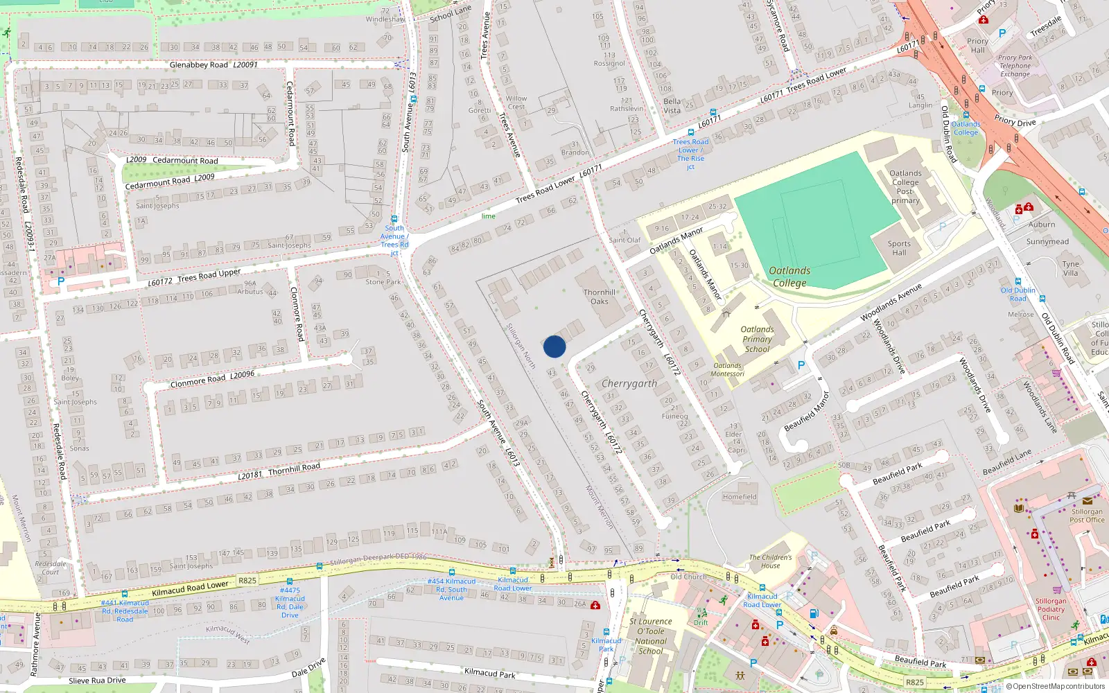 Overhead map showing the location of 50 Thornhill Oaks, Cherry Garth, Mount Merrion