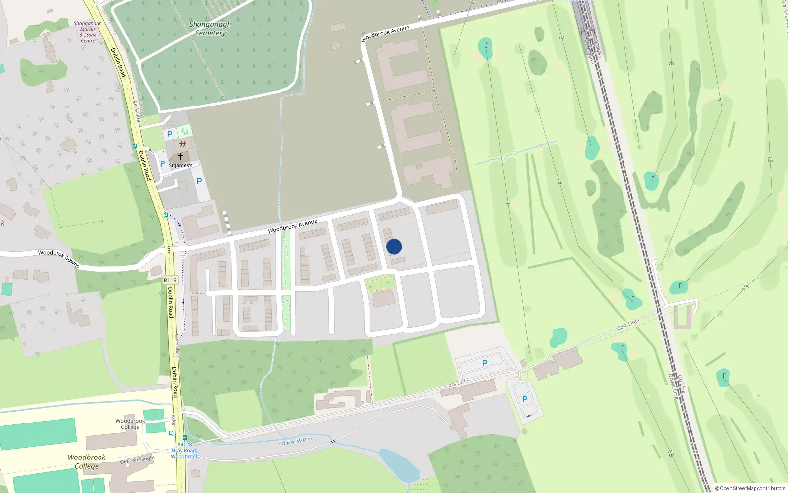 Overhead map showing the location of 50 Woodbrook, Bray