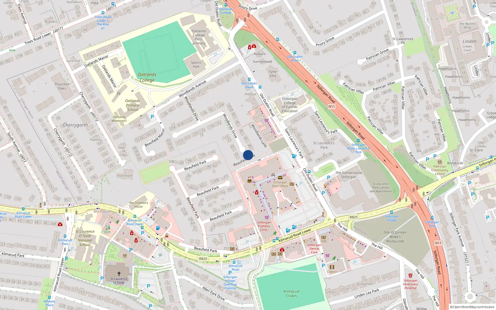 Overhead map showing the location of 50 Woodlands Drive, Dublin