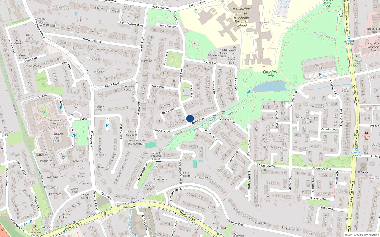Overhead map showing the location of 51 Avoca Park, Blackrock