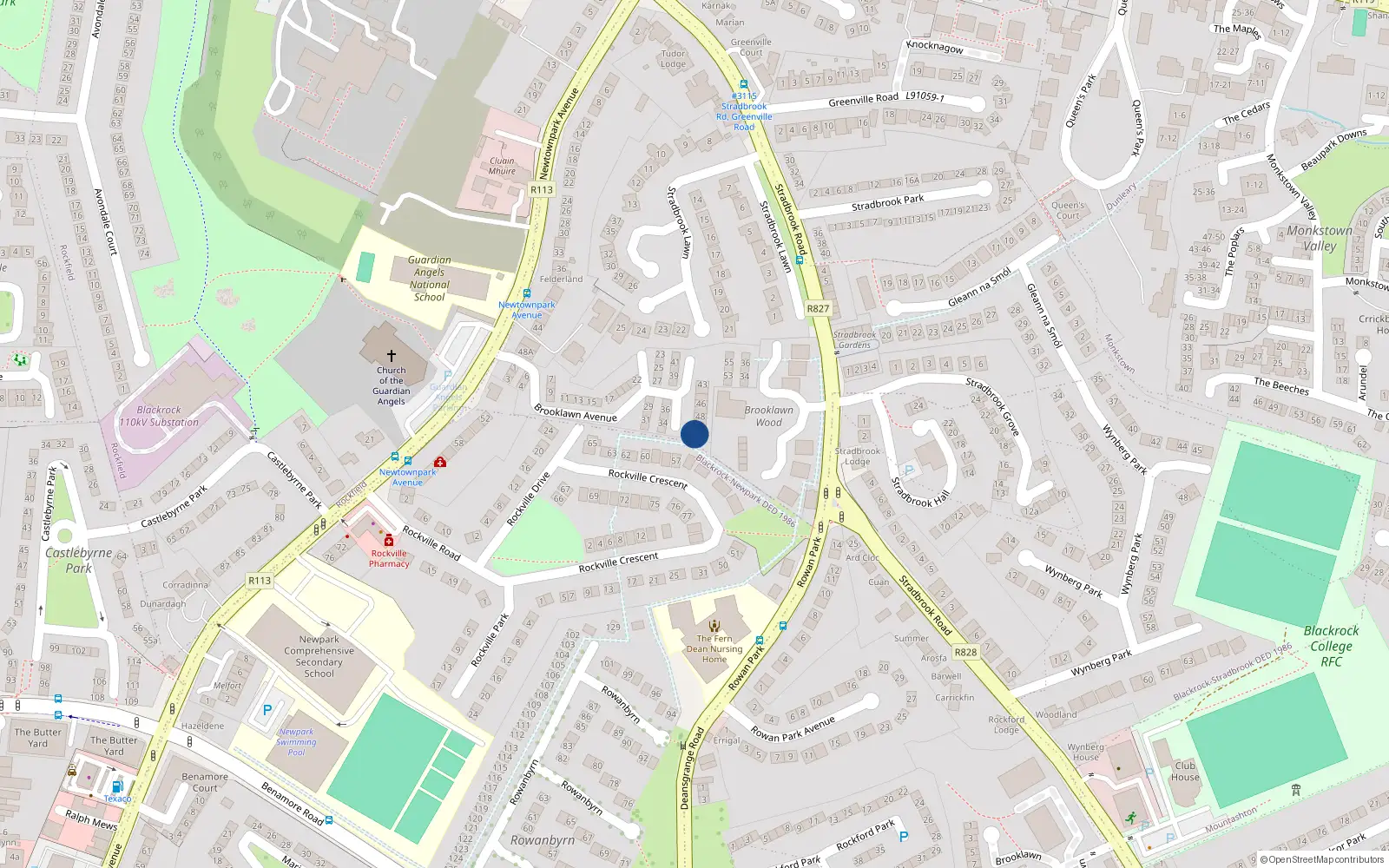 Overhead map showing the location of 51 Brooklawn Avenue, Blackrock