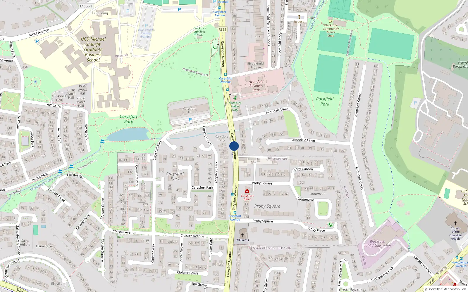Overhead map showing the location of 51 Carysfort Avenue, Carysfort