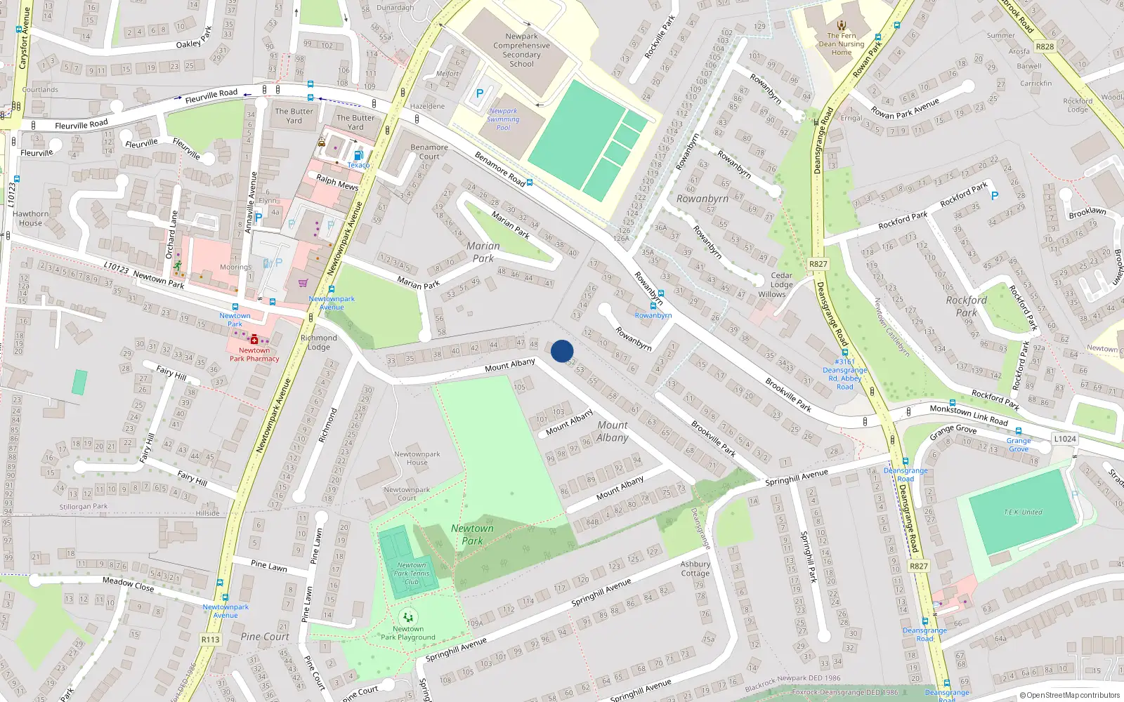 Overhead map showing the location of 51 Mount Albany, Blackrock