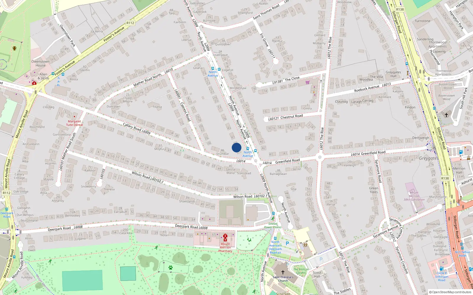 Overhead map showing the location of 51 North Avenue, Blackrock
