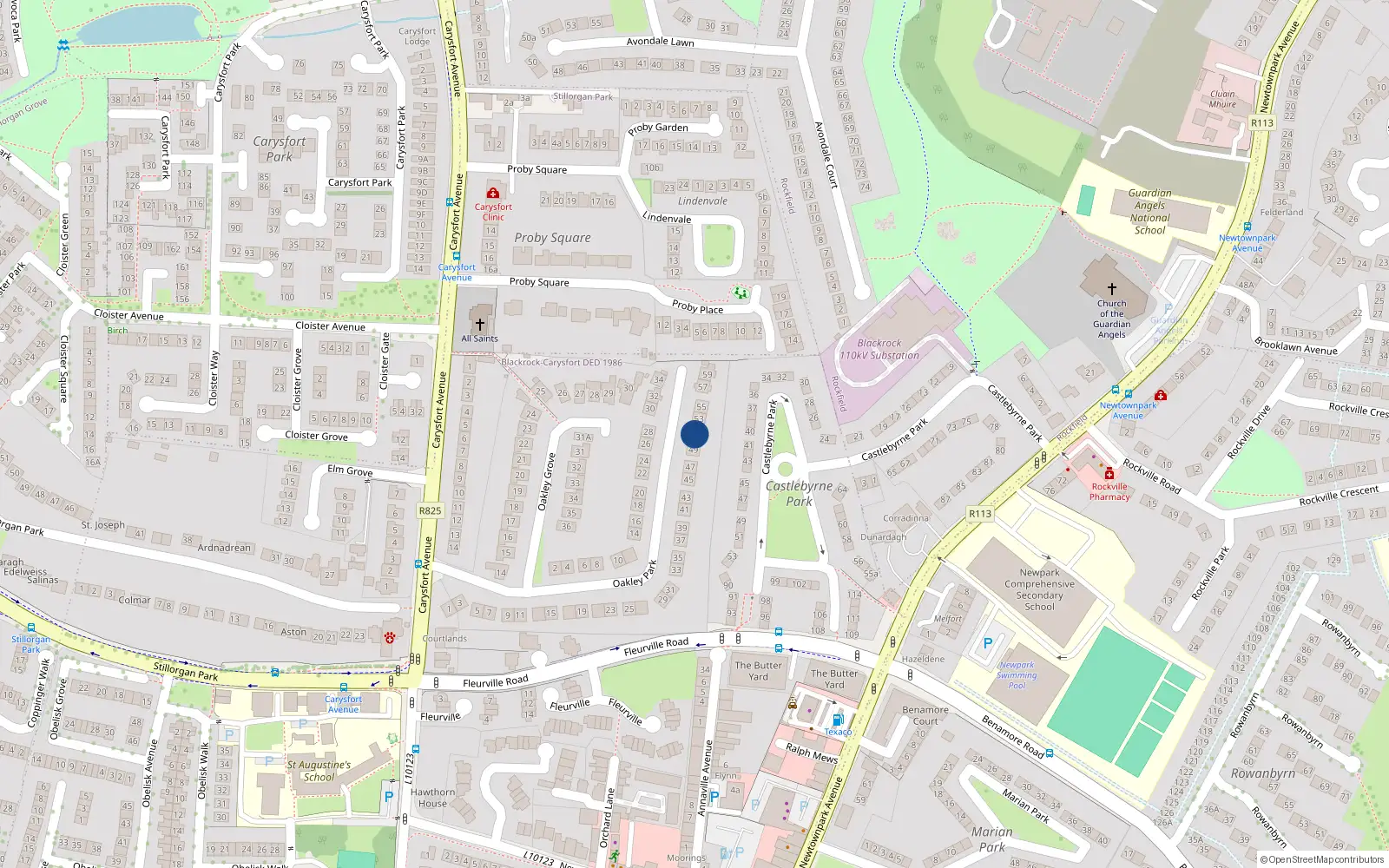 Overhead map showing the location of 51 Oakley Park, Blackrock