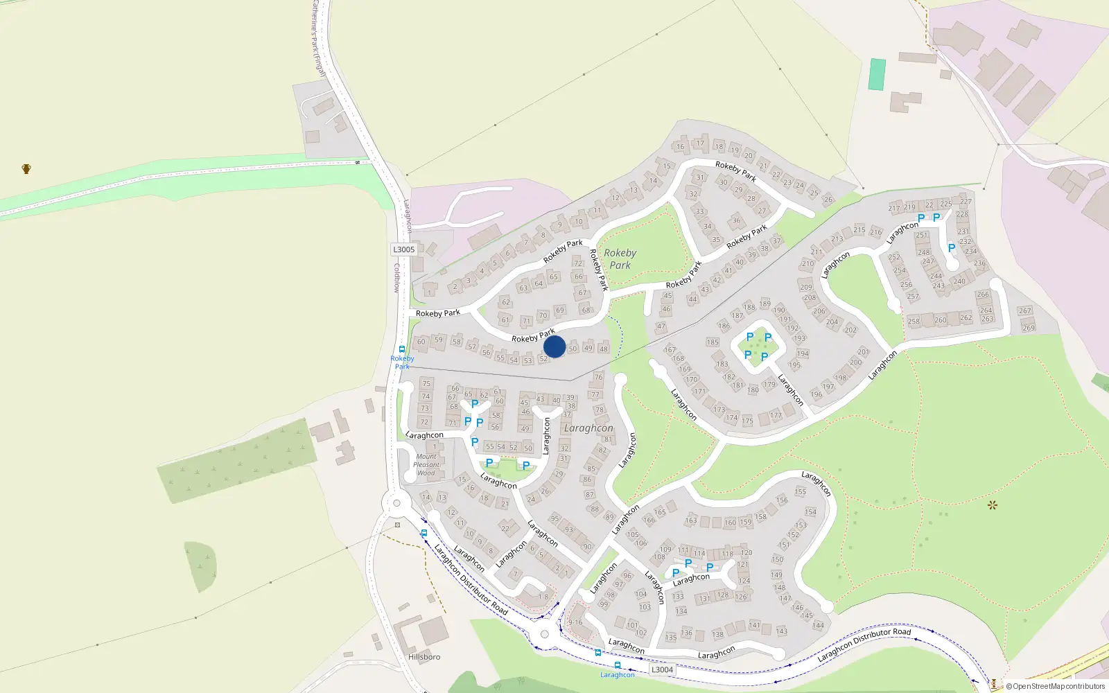 Overhead map showing the location of 51 Rokeby Park, Lucan