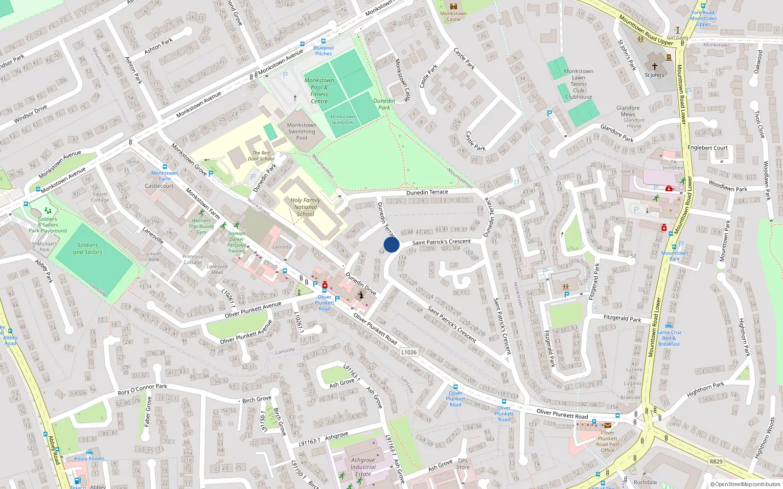 Overhead map showing the location of 51 St Patricks Crescent, Monkstown