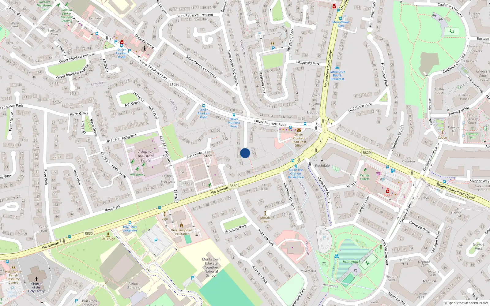 Overhead map showing the location of 51 St Patricks Terrace, Monkstown Farm, Monkstown
