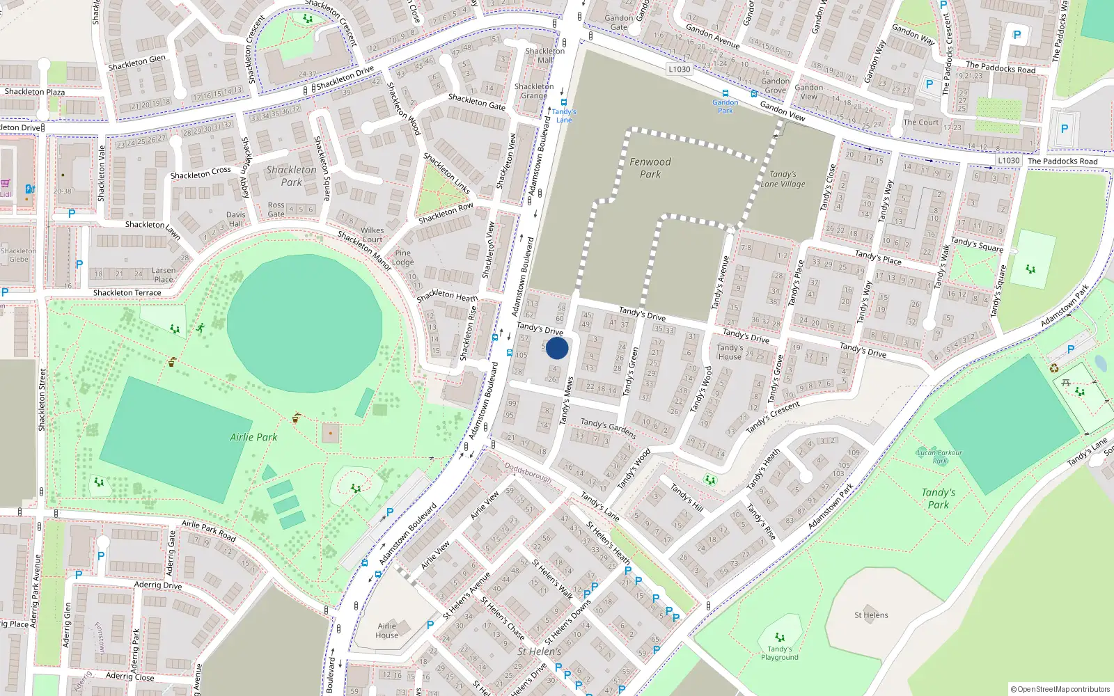 Overhead map showing the location of 51 Tandy's Drive, Lucan