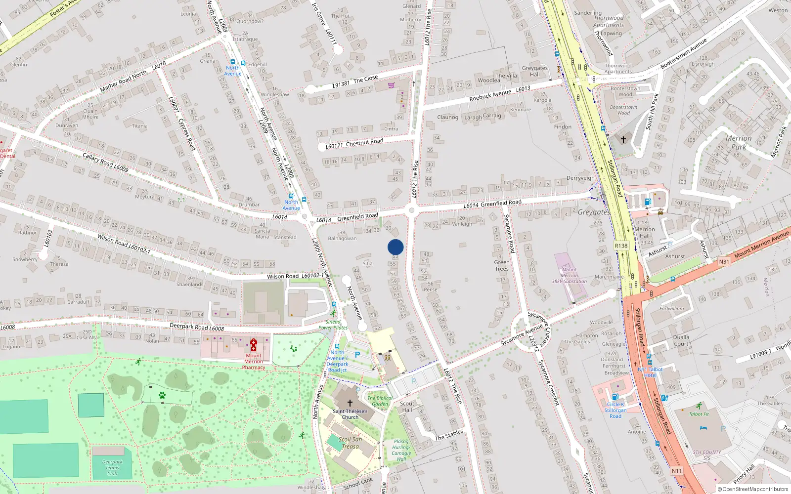 Overhead map showing the location of 51 The Rise, Blackrock