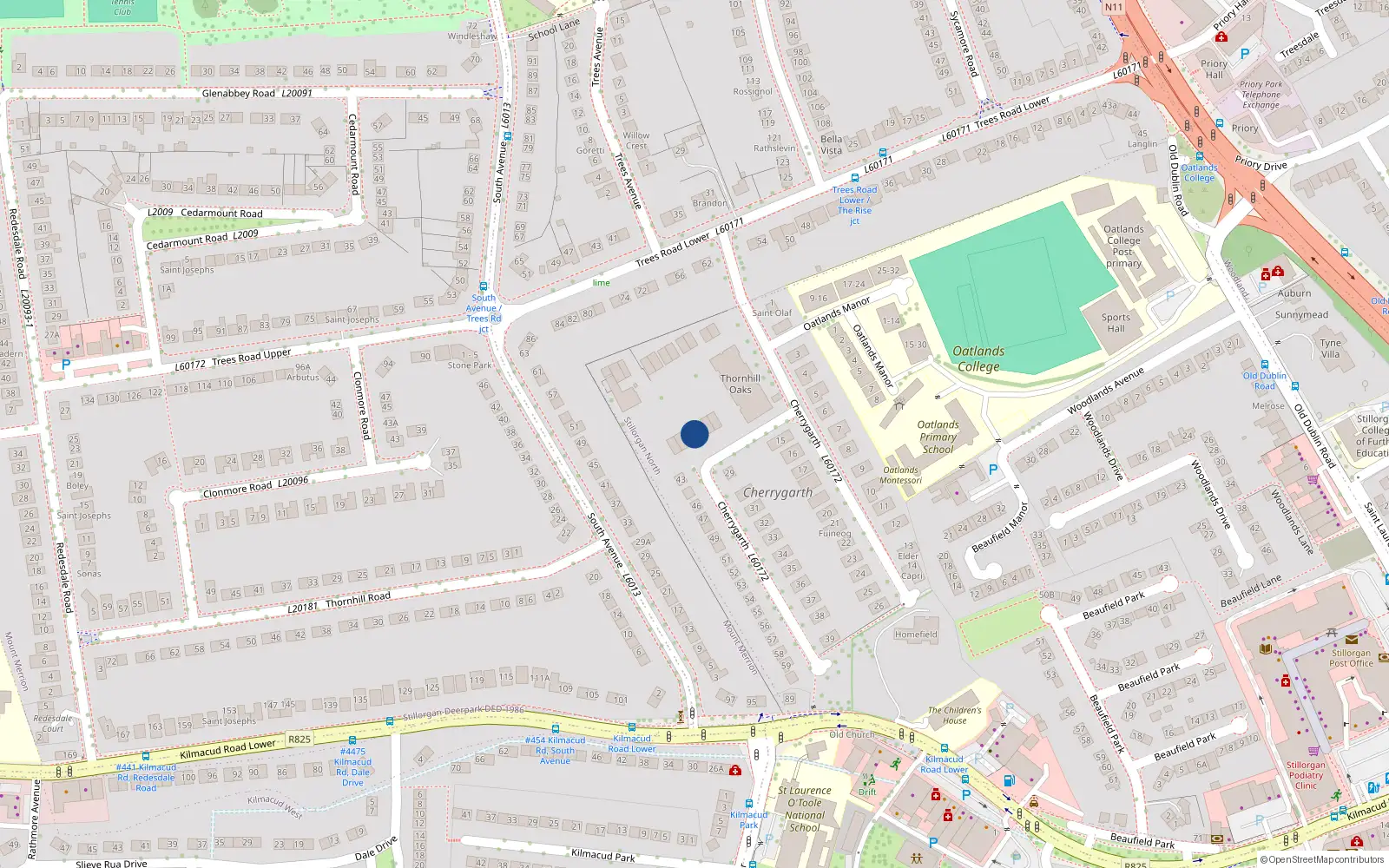 Overhead map showing the location of 51 Thornhill Oaks, Blackrock