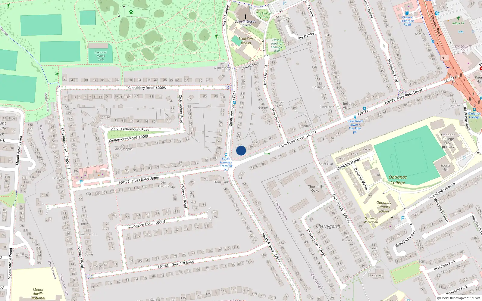 Overhead map showing the location of 51 Trees Road Lower, Mount Merrion