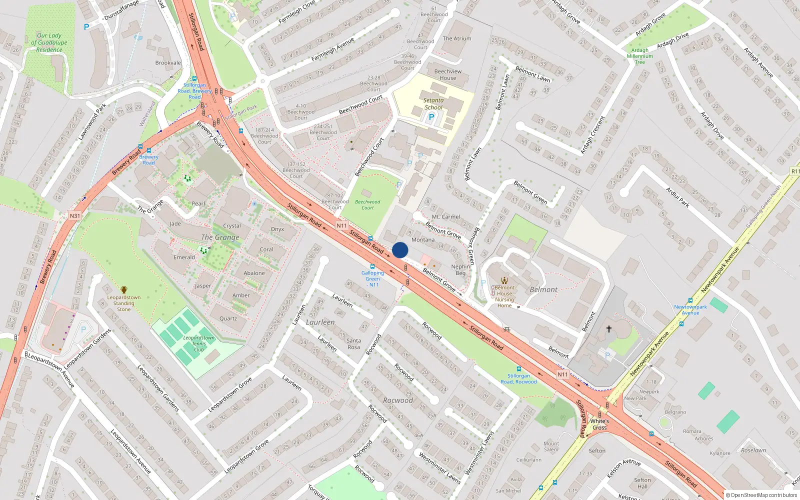 Overhead map showing the location of 517 Galloping Green, Blackrock
