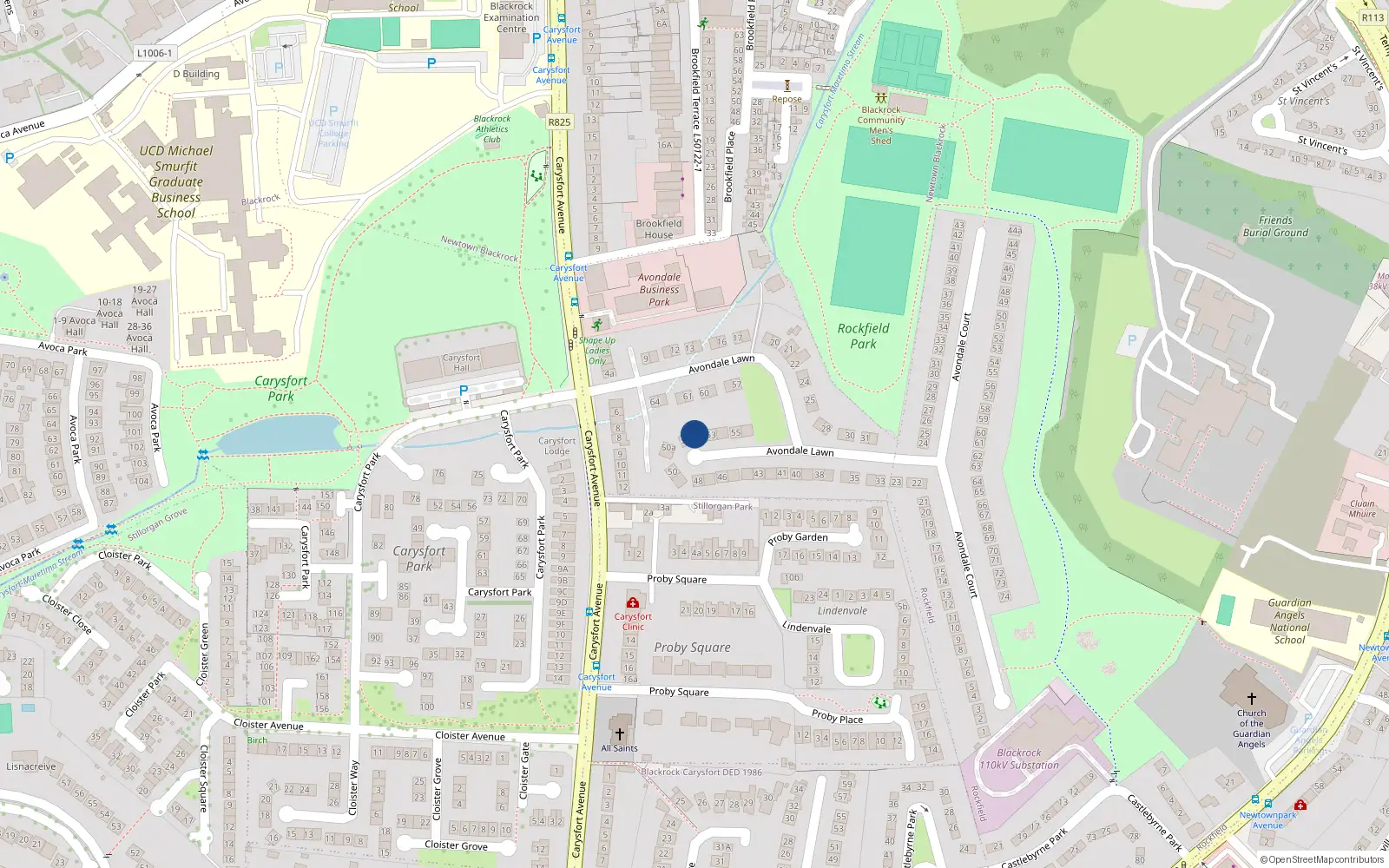 Overhead map showing the location of 52 Avondale Lawn, Blackrock