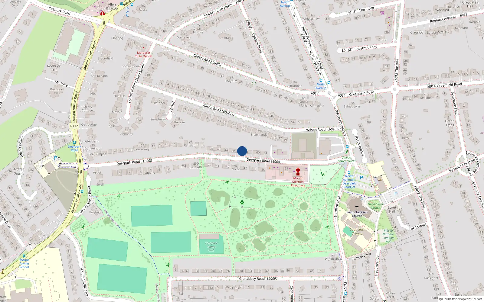 Overhead map showing the location of 52 Deerpark Road, Blackrock