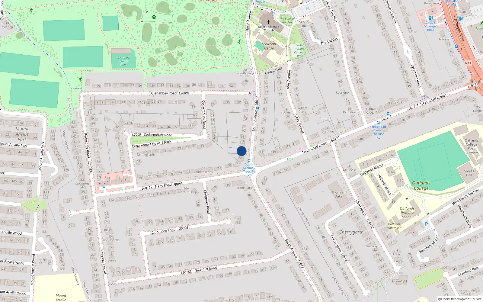 Overhead map showing the location of 52 South Avenue, Blackrock