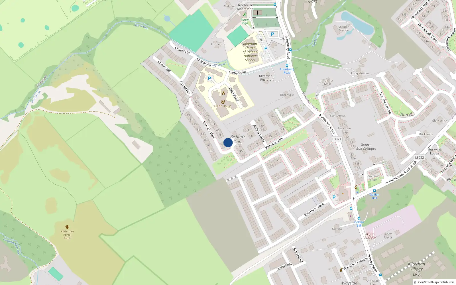 Overhead map showing the location of 53 Bishops Gate, Dublin 18