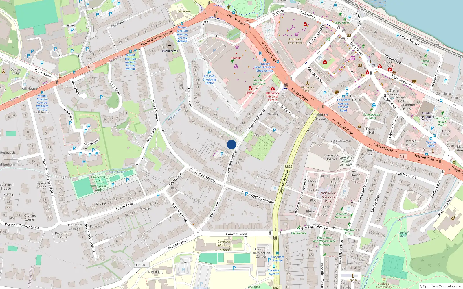 Overhead map showing the location of 53 Frascati Park, Blackrock