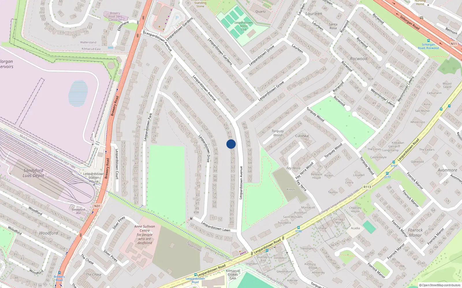 Overhead map showing the location of 53 Leopardstown Avenue, Stillorgan, Dublin