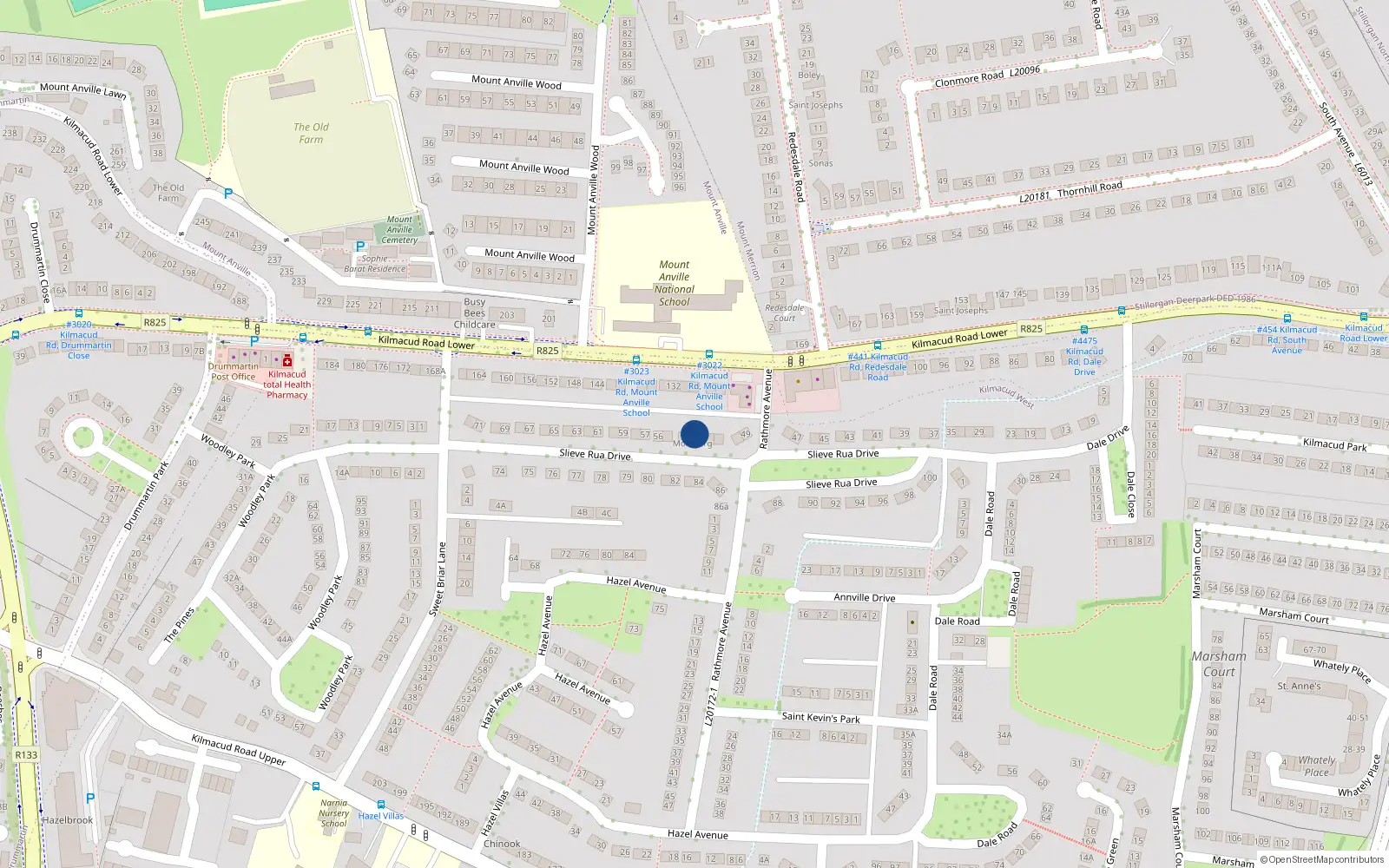 Overhead map showing the location of 53 Slieve Rua Drive, Blackrock