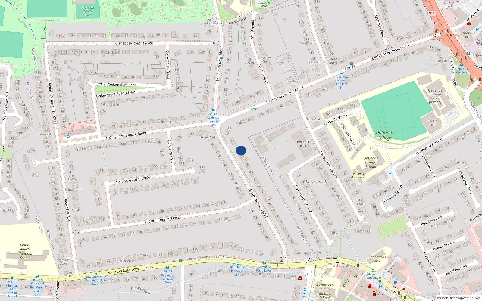 Overhead map showing the location of 53 South Avenue, Blackrock