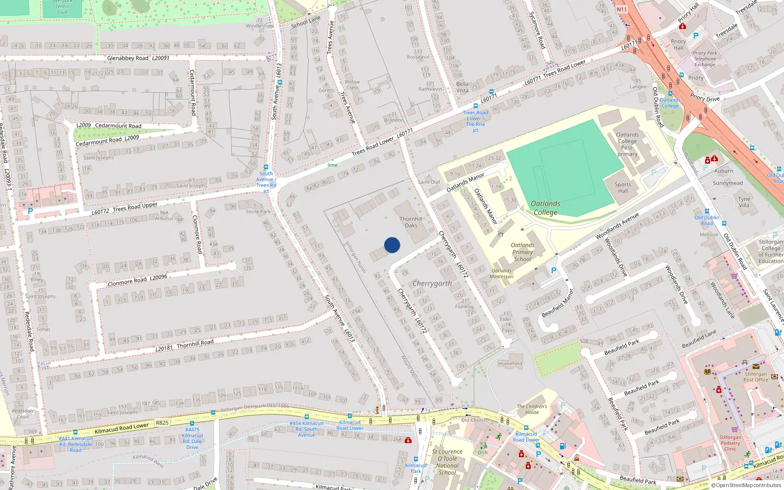 Overhead map showing the location of 53 Thornhill Oaks, Blackrock