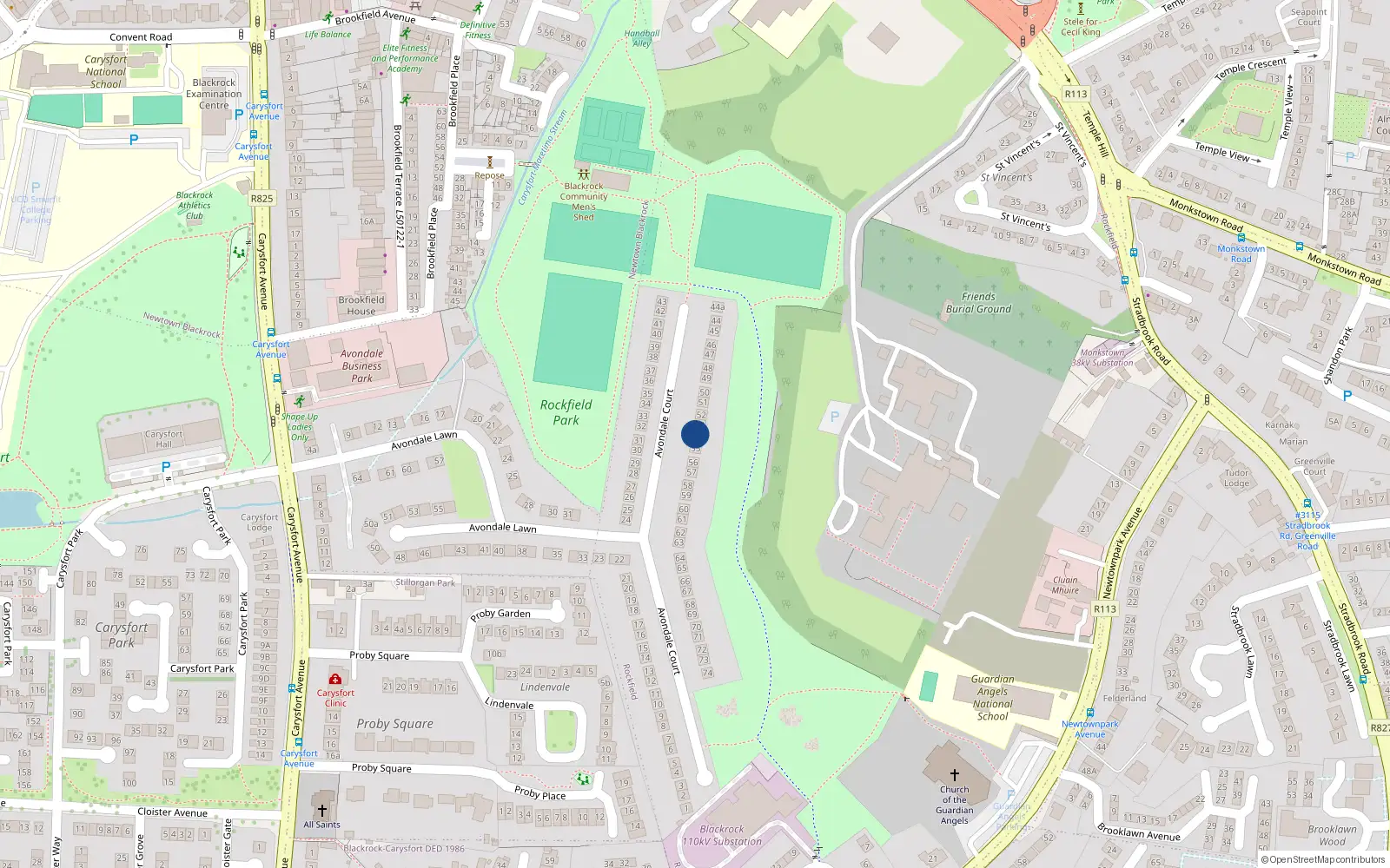 Overhead map showing the location of 54 Avondale Court, Blackrock