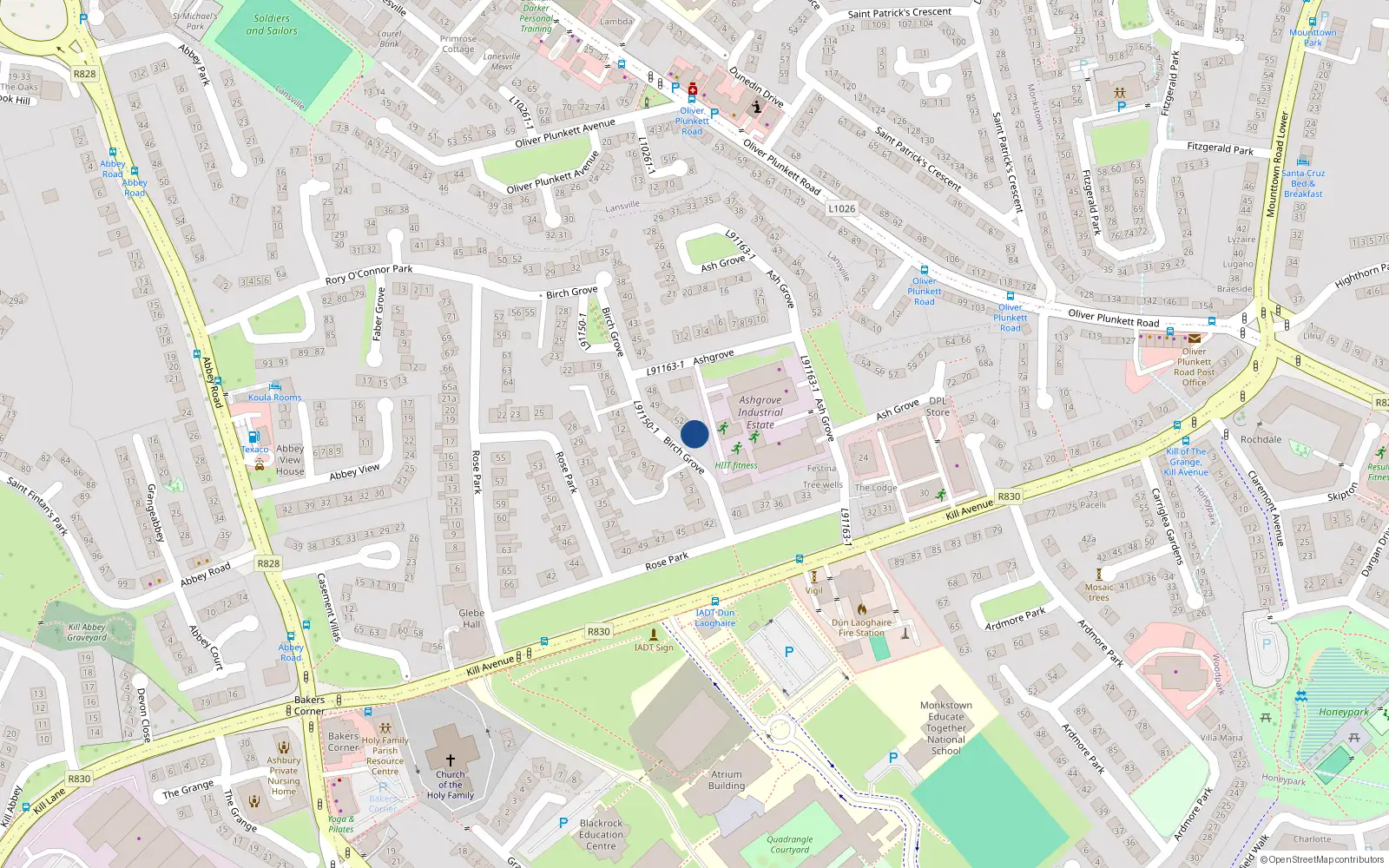 Overhead map showing the location of 54 Birch Grove, Co. Dublin